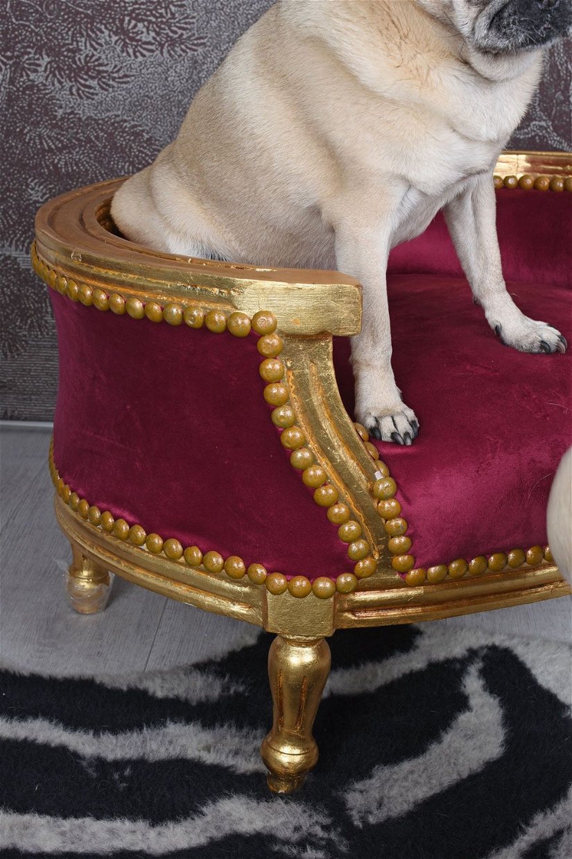 Canapea pentru caine din lemn auriu cu tapiterie rosie