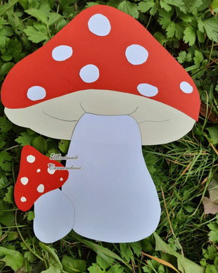 Decoratiune  pavoazare clasa