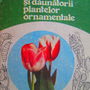 1993-Bolile plantelor ornamentale