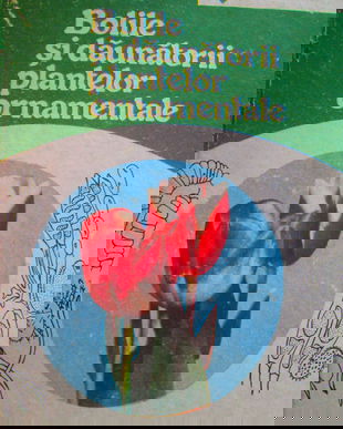 1993-Bolile plantelor ornamentale