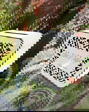 Cutie de bani nunta premium