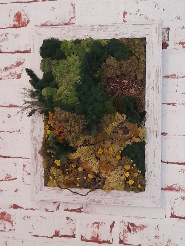 Tablou cu licheni/Tablou vegetal, natural, cu suport pentru birou