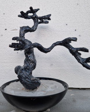 Trunchi bonsai 2