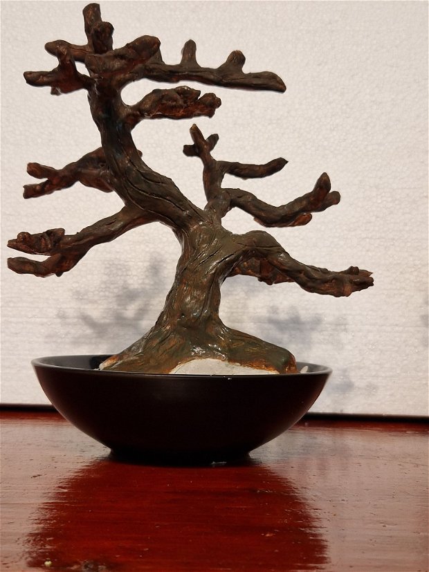 Trunchi bonsai 2