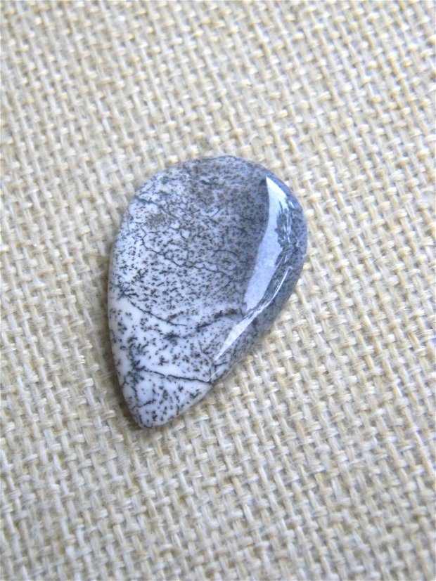 Caboson opal dendritic (F23-3)