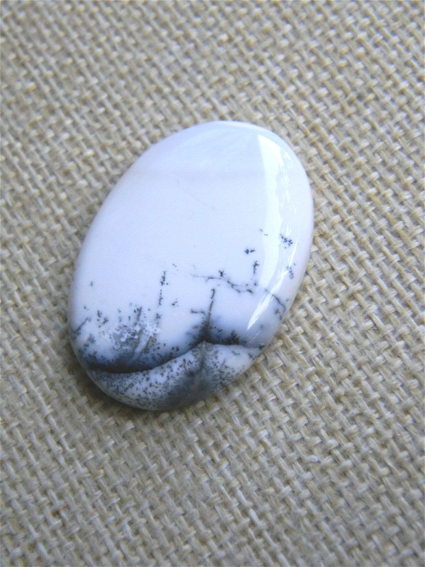 Caboson opal dendritic (F23-3)