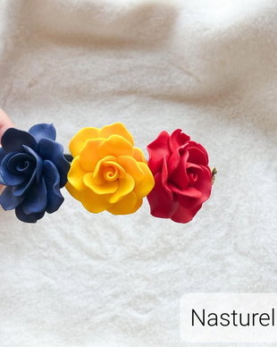 Coroniță: Tricolor