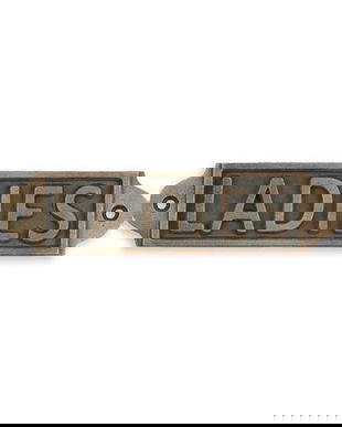 Placheta din fonta pentru toaleta doamnelor