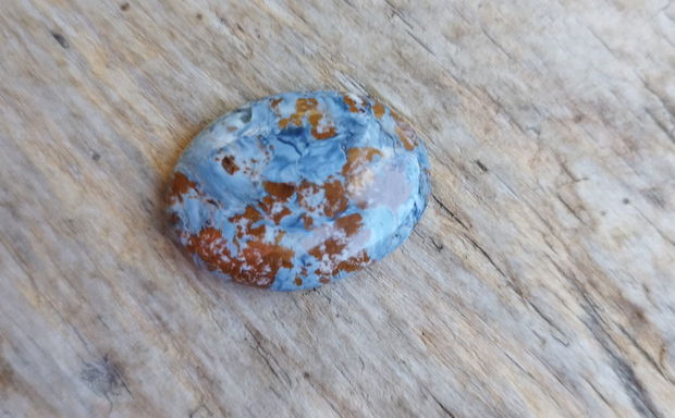 Cabochon pietersit, 25x18x5 mm