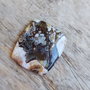 Cabochon jasp crazy horse, 29x25x4.5 mm