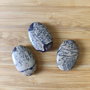 Jasp oval - 30x20mm