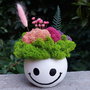 Aranjament floral, Smiley face, cu licheni stabilizati