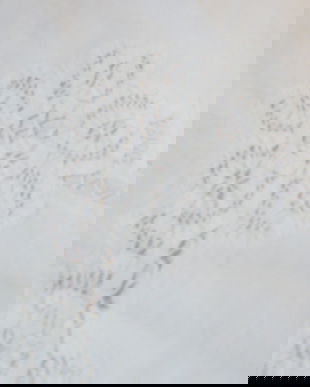 Husa broderie si dantela