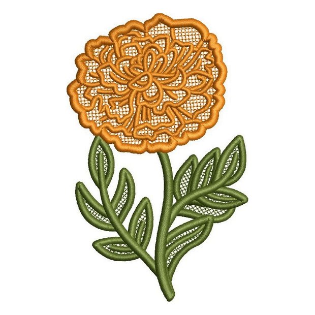 Marigold floarea lunii octombrie