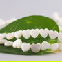Sidef 6x6mm (1)