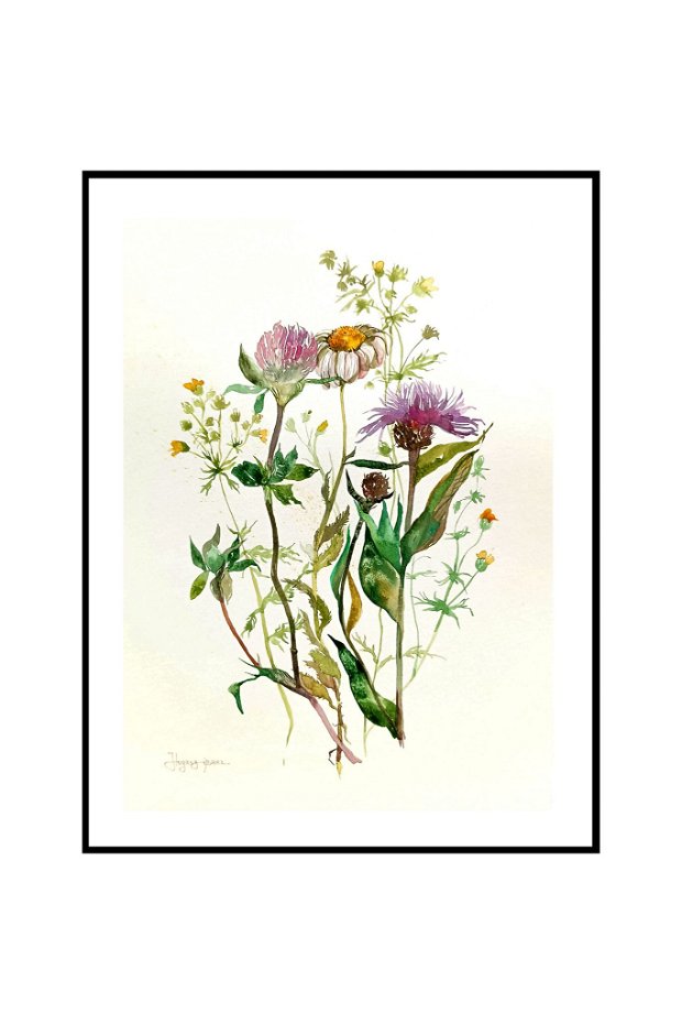 Tablou Studiu Botanic. Plante medicinale. Pictura autentica de toamnă. Nature and Colors Collection