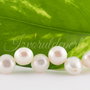 Perle cultura 7-8mm, cod ID22 (1)