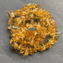 Lchips 46 - sticla galbena