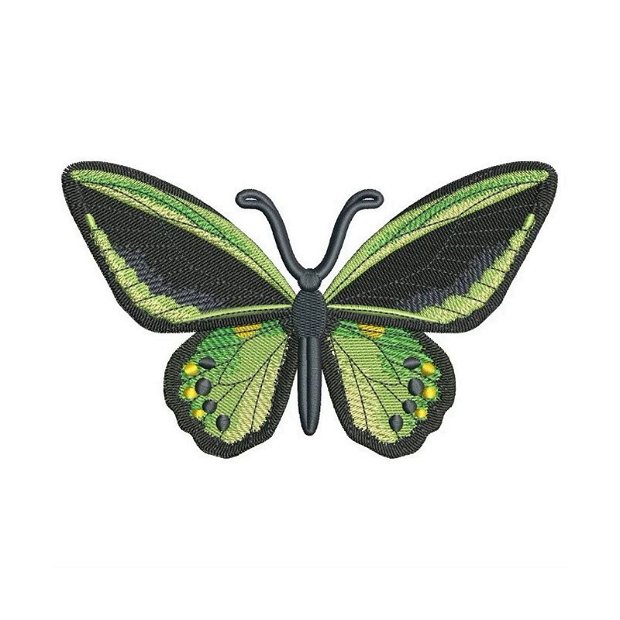 Fluture exotic verde