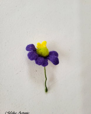 Brosa impaslita