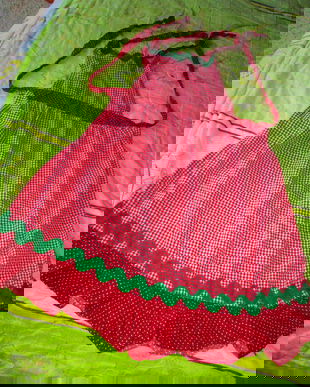 sort vesel de Craciun