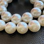 Perle seashell margele culoare alb - 1 buc