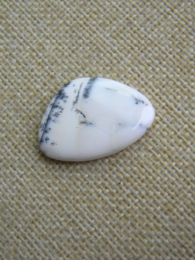 Caboson opal dendritic (F33-1)