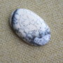 Caboson opal dendritic (F33-1)