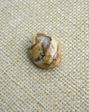 Caboson picture jasper (F33-2)