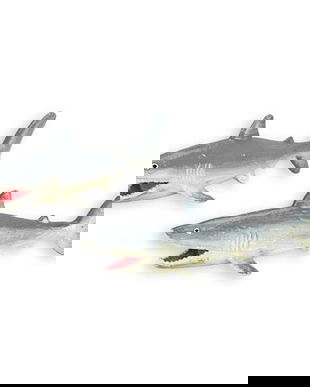 Set doua deschizatoare sticle rechin