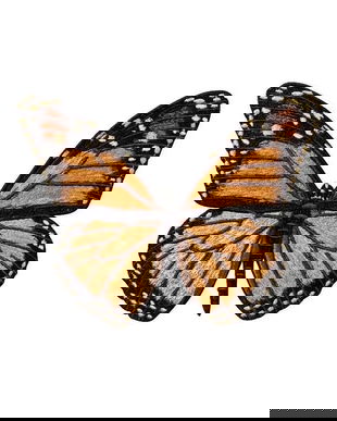 Fluture monarh decorativ