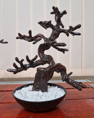 Blank bonsai