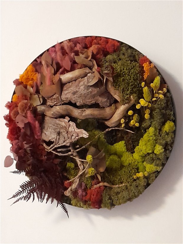 Amurg de toamnă/Tablou rotund cu licheni și mușchi plat
