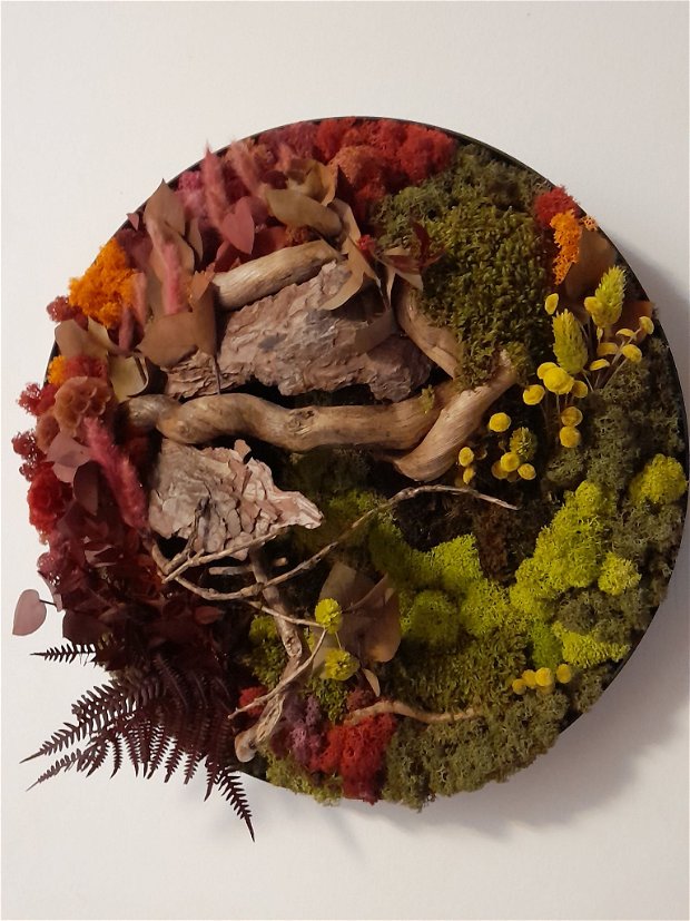 Amurg de toamnă/Tablou rotund cu licheni și mușchi plat