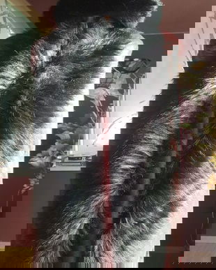 PALARIE FAUX FUR DEOSEBITA SI GULER SAL FAUX FUR ASORTAT