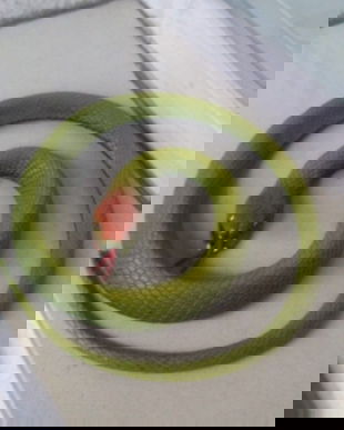 SARPE DIN MATERIAL CAUCIUCAT FOARTE REAL DISNEYLAND