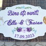Placuta BINE ATI VENIT model elegant