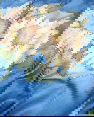 Esarfa matase naturala