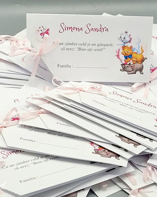 Plic pentru dar, place card botez Pisicile Aristrocate