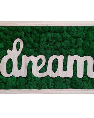 Tablou cu inscriptie "dream" si licheni stabilizati