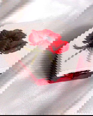 cutie lemn cu maci 43430