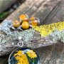 Pandantiv licheni
