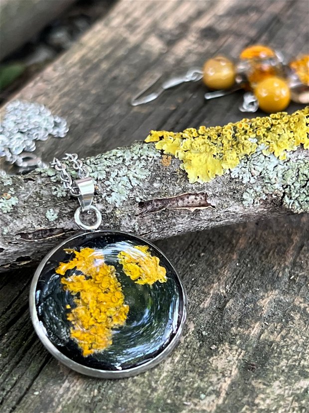 Pandantiv licheni