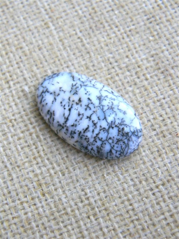 Caboson opal dendritic (F31-1)