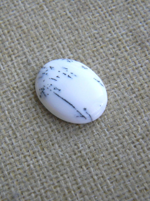 Caboson opal dendritic (F31-1)