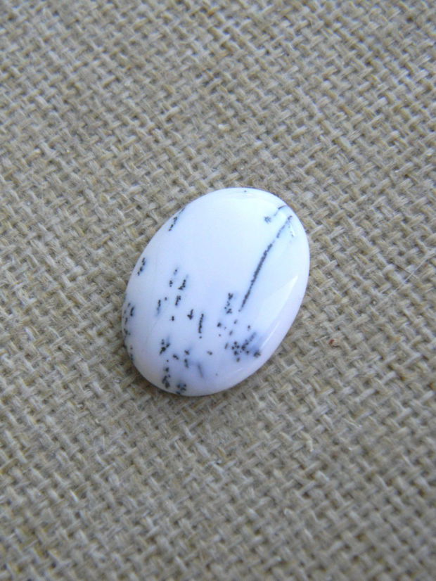 Caboson opal dendritic (F31-1)