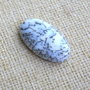 Caboson opal dendritic (F31-1)
