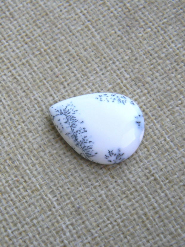 Caboson opal dendritic (F28-3)