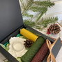 Set Aripi de Înger
