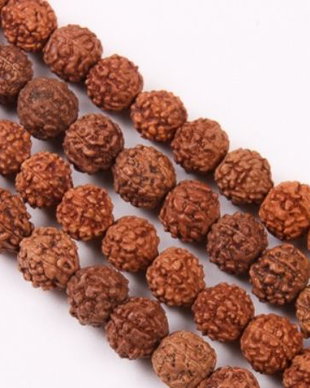 Seminte de rudraksha maro inchis